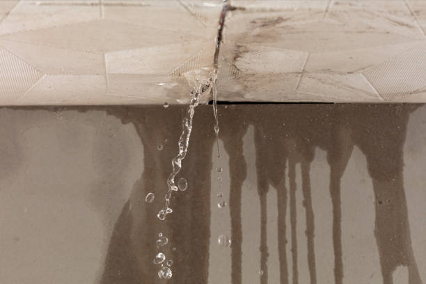 Professional Structural Drying technician working in Hamburg, AR